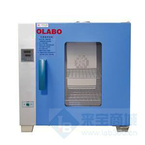 欧莱博台式电热鼓风干燥箱DHG-9203A